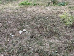 Colentina, Andronache